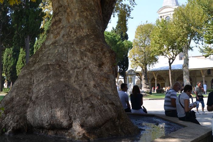 Historians from Herodotus to Procopius