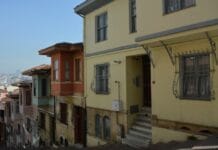 Motives Behind the Macedonian Committees