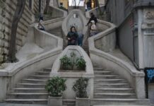 Online International Conference