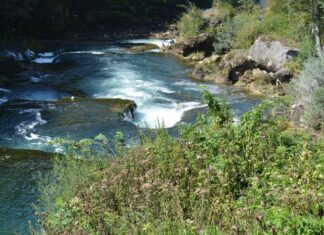 Widespread Social Unrest