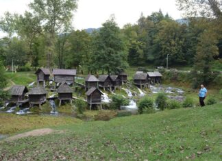 The Dogs and Firemen of Constantinople