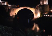 Dogs Protected by Belief